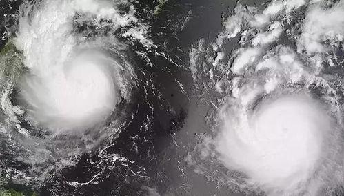 大风新闻爆料最新消息,最新事件进展揭秘 第2张 大风新闻爆料最新消息,最新事件进展揭秘 第2张