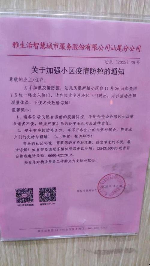 海丰爆料网最新消息视频,热点事件深度解析 第1张 海丰爆料网最新消息视频,热点事件深度解析 第1张